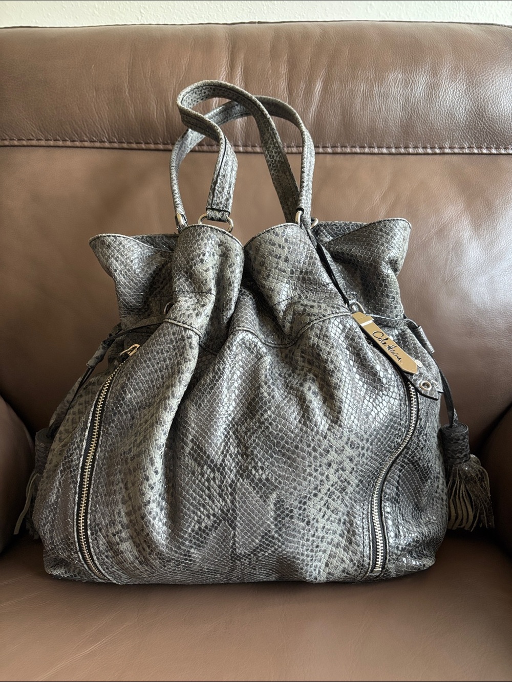 Cole Haan snakeskin bag